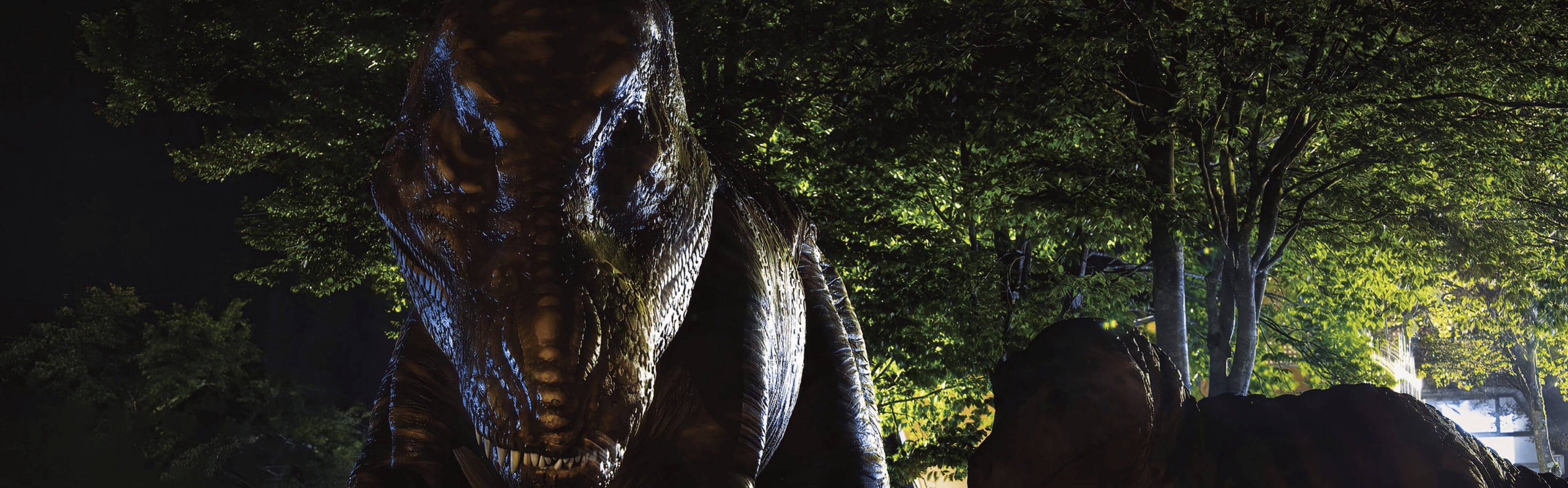 プライバシーポリシー